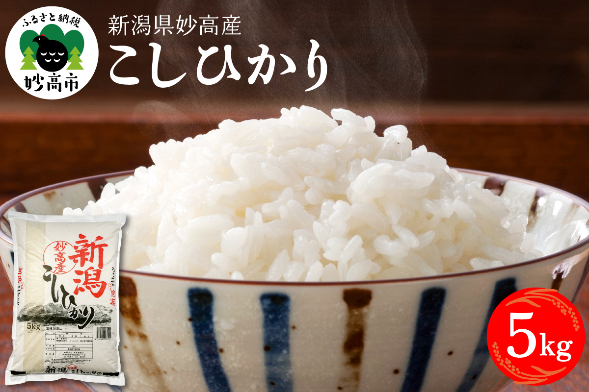 令和7年産 新潟県妙高産コシヒカリ5kg【順次発送】