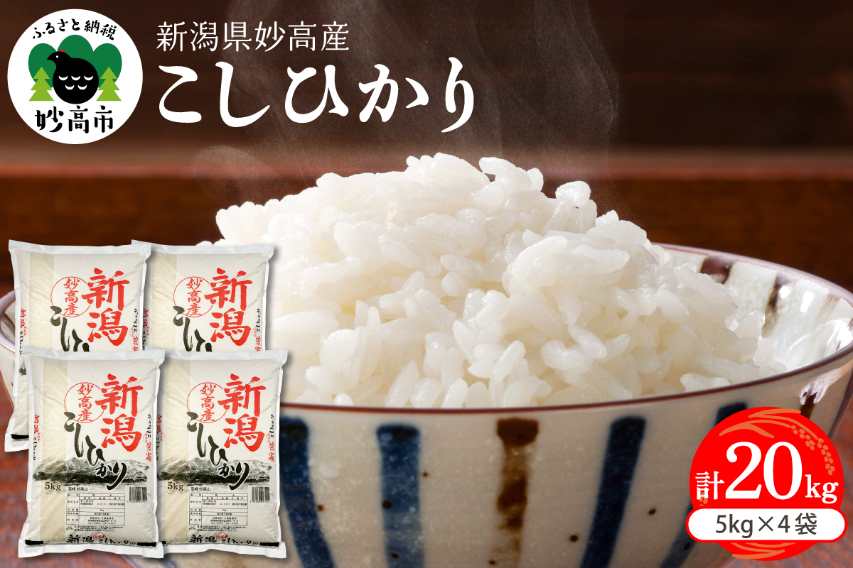 令和7年産 新潟県妙高産コシヒカリ20kg【順次発送】