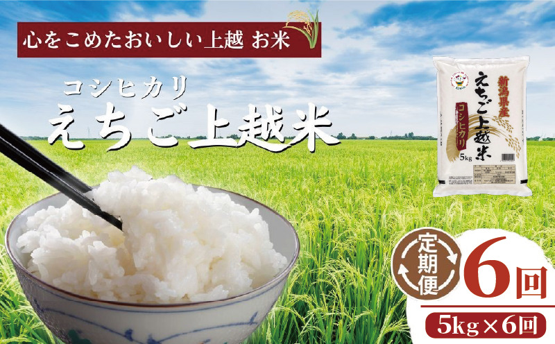 令和7年  新潟県産コシヒカリ えちご上越米　定期便 【6ヶ月連続お届け】5kg×6回 30kg 新潟 米 新潟県 こしひかり 限定 おすすめ