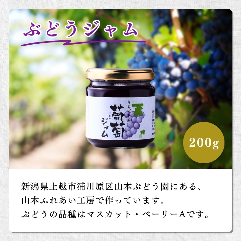 ぶどう 加工品  山本ぶどう園 ぶどうジャム 200g ぶどうソース 130g セット (新潟県上越市産) ジャム ソース
