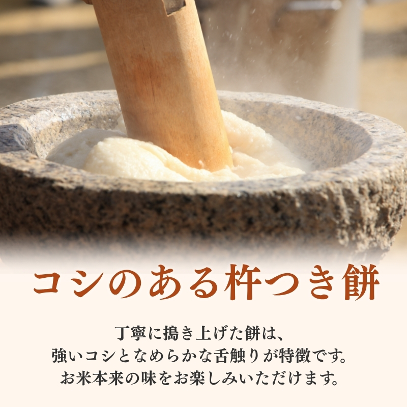 切り餅 こがね姫 シングルパック 10枚入 475g×2 (新潟県上越市産コガネモチ使用) 餅 もち