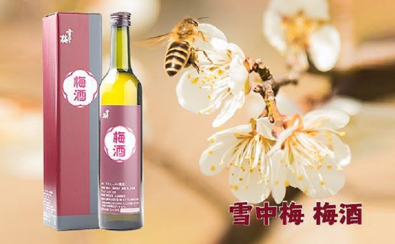 雪中梅 梅酒 500ml 化粧箱入｜酒 お酒 贈答 プレゼント 贈り物 おすすめ ふるさと納税 人気 新潟 新潟県産 にいがた 上越 上越産