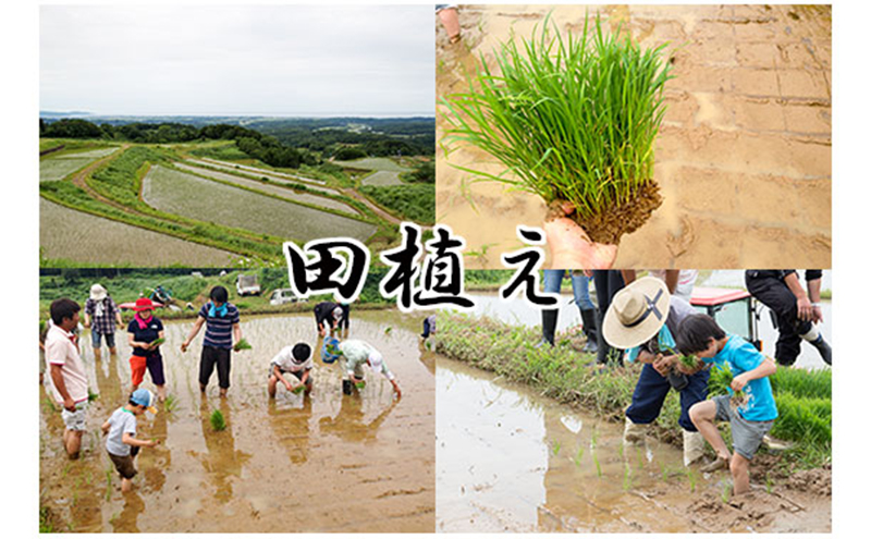 日本酒 久比岐和希水　純米大吟醸　720ml　化粧箱入 お酒 新潟 上越