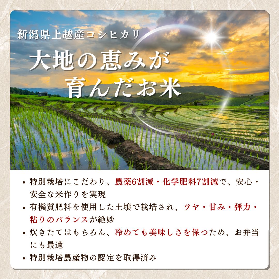 米 令和6年産 新潟県上越産「 特別栽培米 コシヒカリ 」 白米 5kg こしひかり お米 こめ おすすめ ふるさと納税 新潟 新潟県産 にいがた 上越 上越産