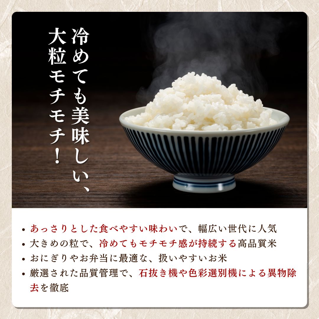 米 令和6年産 新潟県上越産「 つきあかり 」 白米 5kg ツキアカリ お米 こめ ふるさと納税 新潟 新潟県産