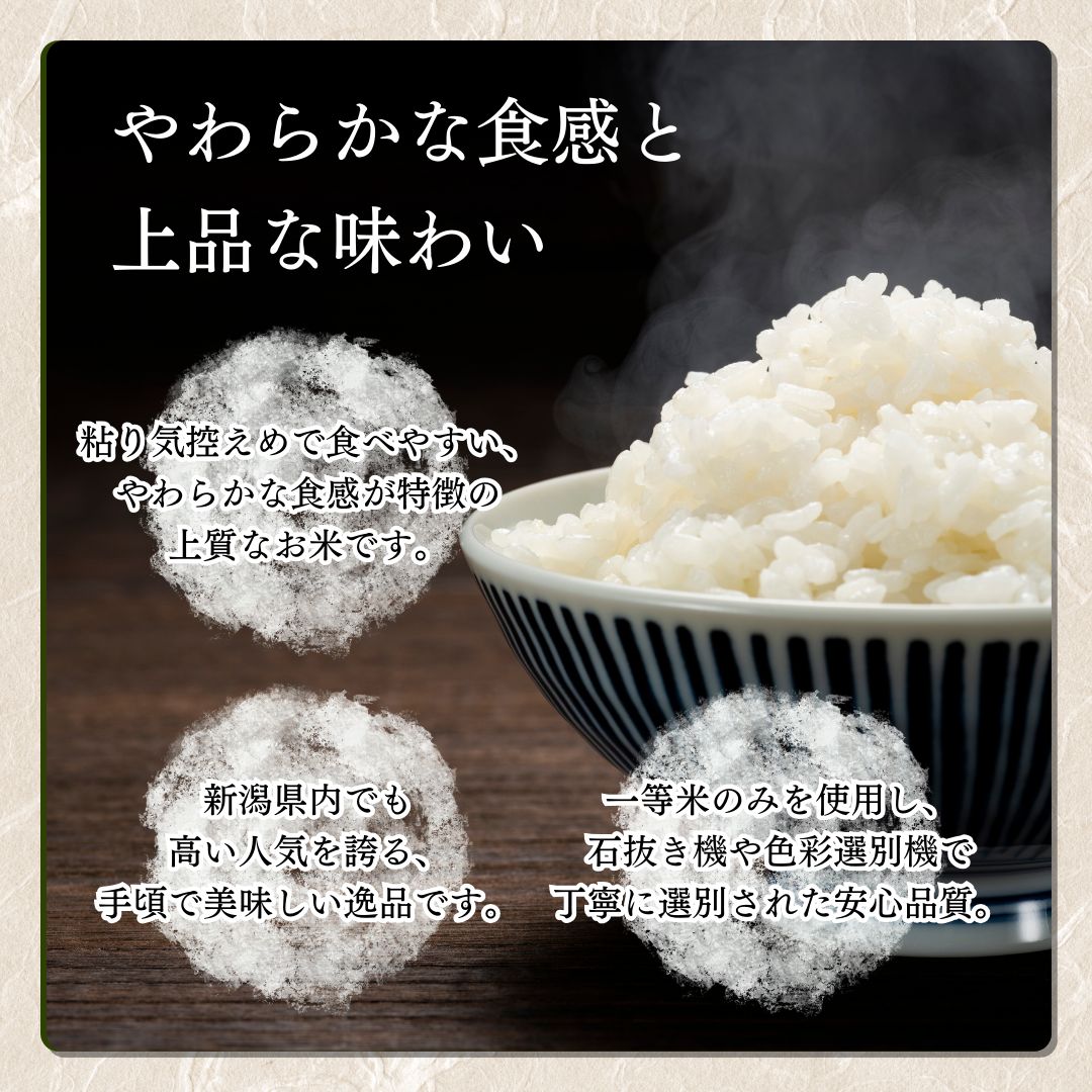 米 令和6年産 新潟県 上越産「こしいぶき」 白米 5kg お米 こめ ふるさと納税 新潟 新潟県産 にいがた 上越