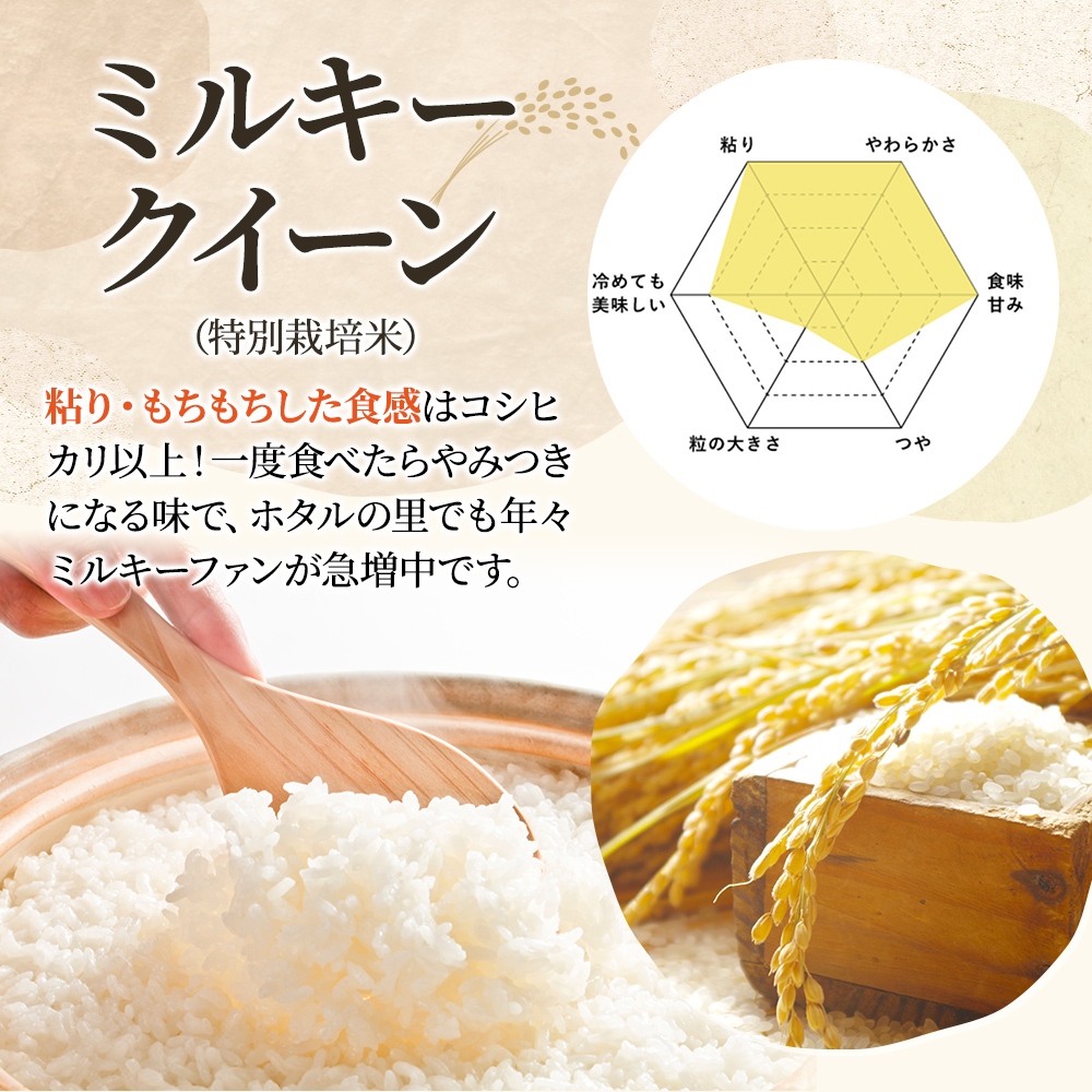 令和7年産 新潟上越産ミルキークイーン 5kg｜ミルキークイーン 米 こめ おすすめ 新潟 新潟県産 にいがた 上越 上越産