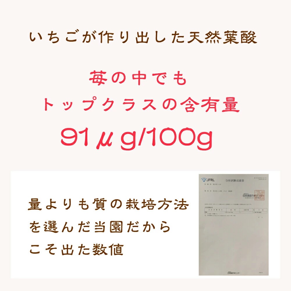 いちご 雪国完熟越後姫 約170g×4P 苺 イチゴ フルーツ 完熟 越後 新潟