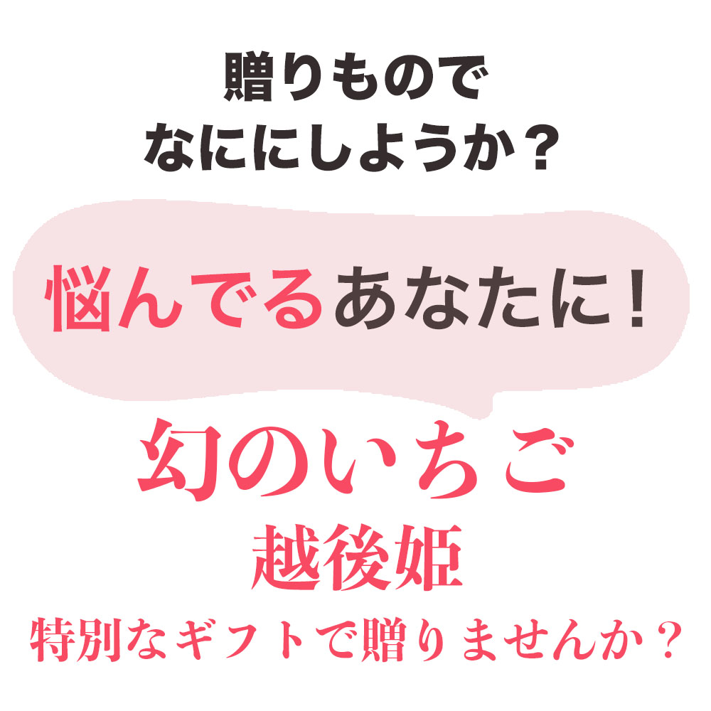 いちご 新潟 雪国完熟越後姫シングル（約380g）ギフト箱入り イチゴ 苺 フルーツ お取り寄せ 贈り物 上越