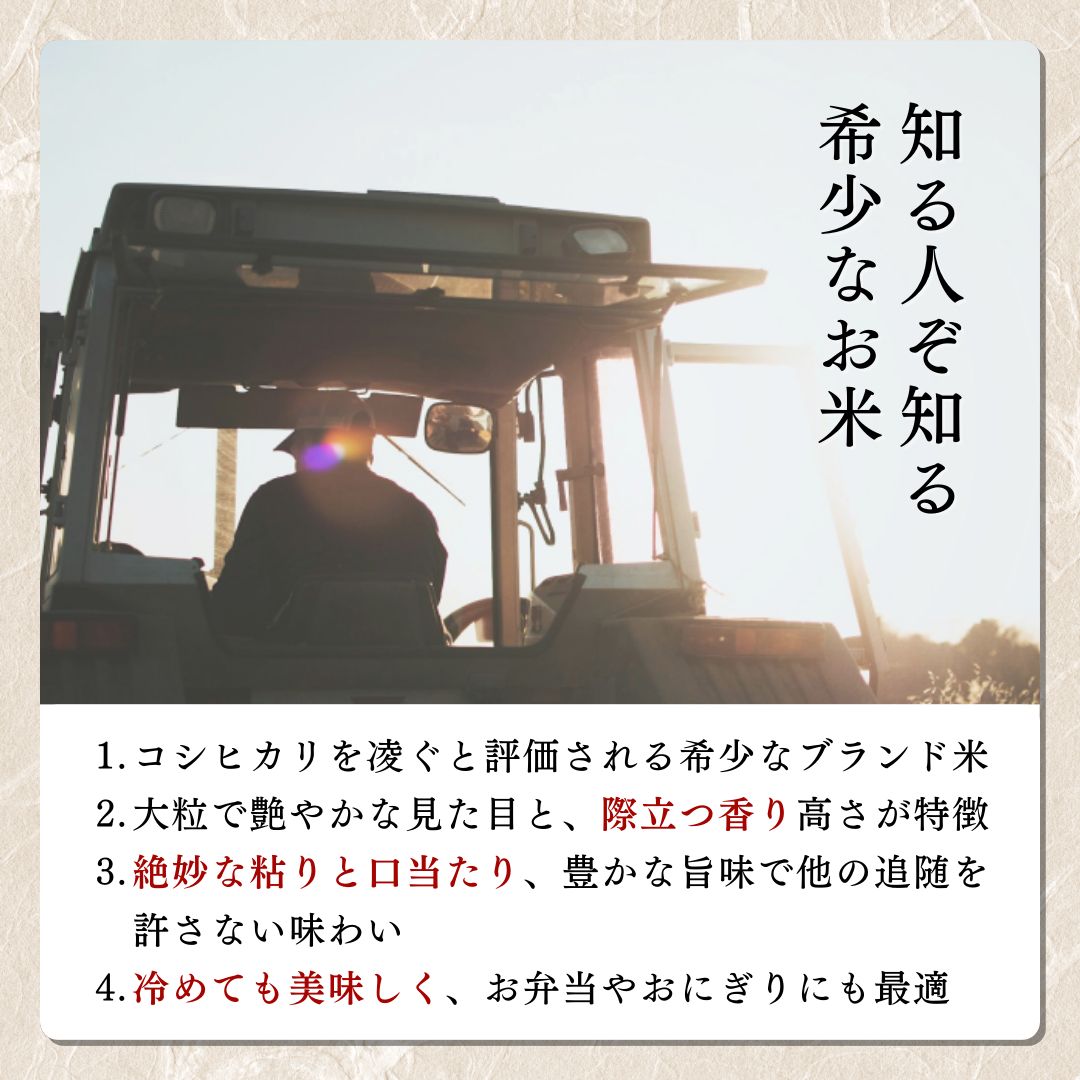 【先行予約】令和7年 新米 新潟上越産 みずほの輝き 定期便 【6ヶ月連続お届け】5kg×6回 30kg 新潟 新潟県 限定