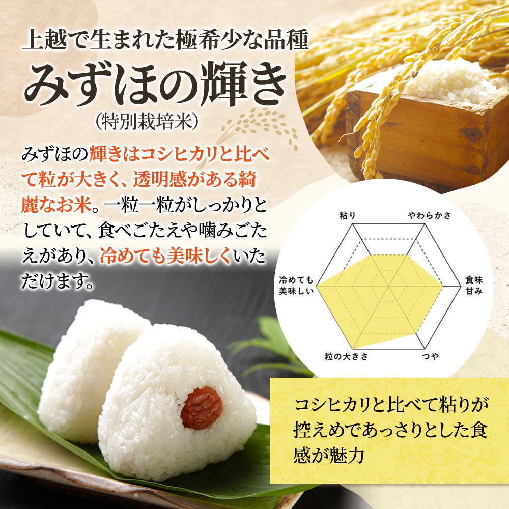 令和8年産 先行予約 新潟県産 みずほの輝き 5kg×6回 6か月 定期便 30kg 30キロ 米 精米 新米予約 おすすめ