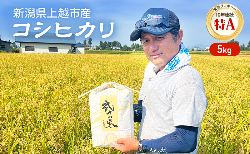新米予約 令和7年 新潟県産コシヒカリ 5kg 5キロ 上越市清里区 丸山農場 白米 精米 送料無料 従来品種 希少 限定 先行予約
