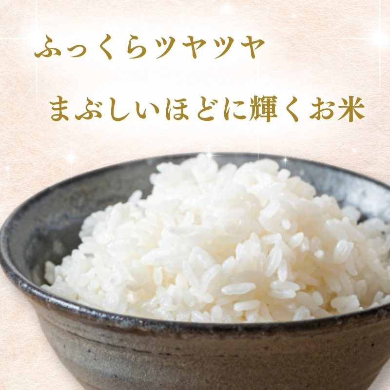 上越市産 新潟 新之助 2kg しんのすけ お米 精米 米 ご飯