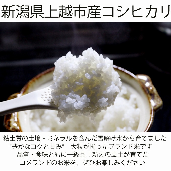 令和6年産 上越市産 コシヒカリ 5kg 新米 精米 新潟 米 新潟県 こしひかり 限定 おすすめ