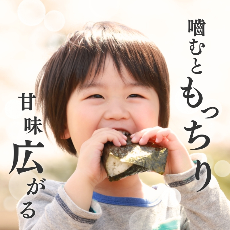 令和7年産 新潟県上越産こしひかり 精米 15kg 上越市 米 コメ コシヒカリ