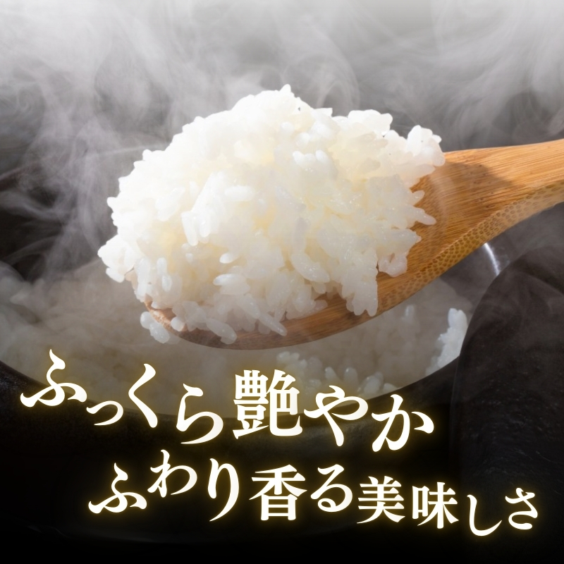 令和7年産 食味鑑定士厳選 新潟県産こしひかり 無洗米 15kg 上越市 米 コメ コシヒカリ