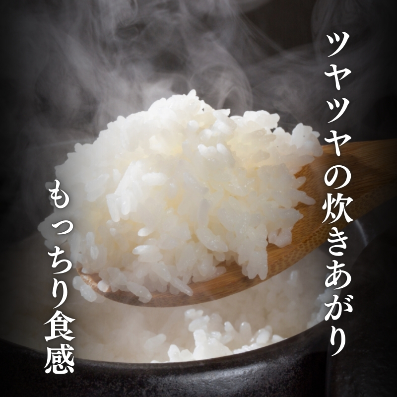 令和7年産 食味鑑定士厳選 新潟県上越柿崎区厳選 こしひかり 無洗米 15kg 3か月定期便 上越市 精米 米 コメ コシヒカリ ブランド米