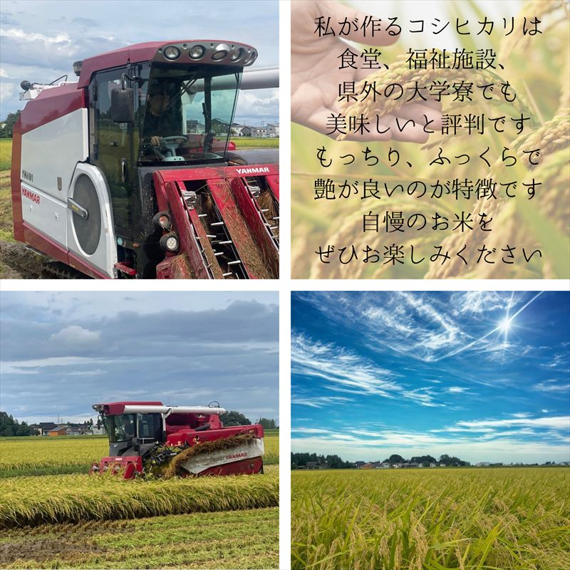 【ふるさと納税】新米 令和7年産 新潟県 上越市産 コシヒカリ 5kg 5キロ 精米 10月下旬より順次出荷 米 お米 白米