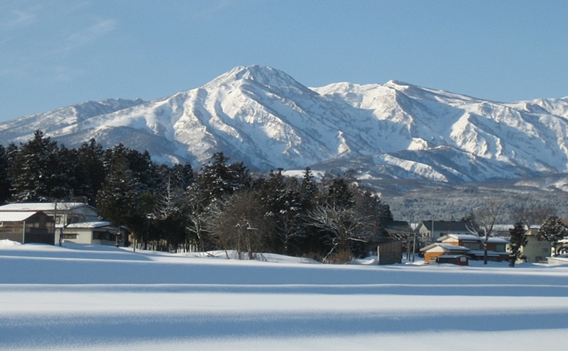 標高200mで育てた棚田米|令和7年・新潟県上越産・にじのきらめき精米5kg　白米  お米 こめ おすすめ ふるさと納税 新潟 新潟県産 にいがた 上越 上越産