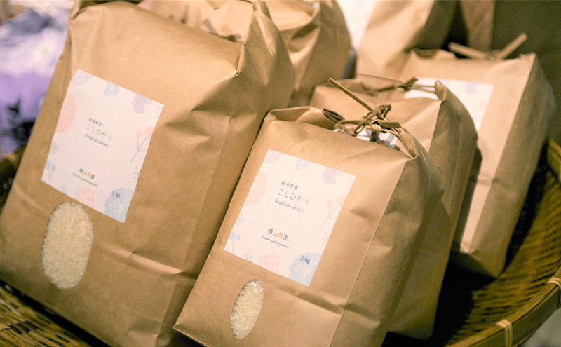 定期便 3ヶ月 米 新潟県上越市産 横山農園 コシヒカリ 令和7年産 2kg（2kg×1袋）毎月毎月3回配送 こしひかり お米 精米 米 ご飯 送料無料