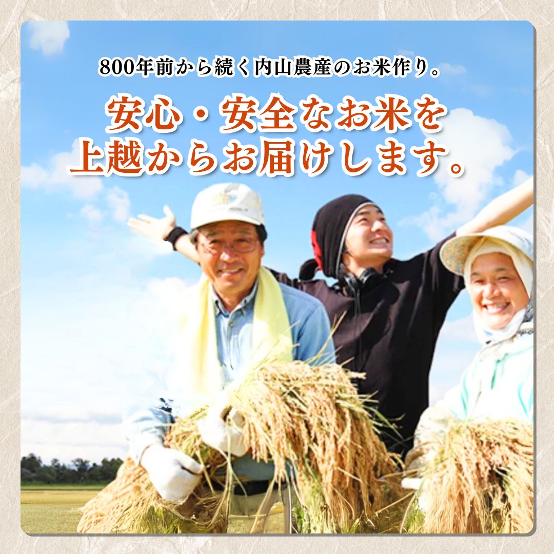米 令和6年産 新潟県上越産「 みずほの輝き 」 白米 5kg お米 こめ ふるさと納税 新潟 新潟県産 上越