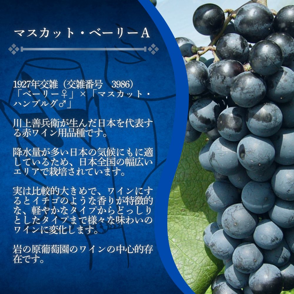 酒 岩の原ワイン1本（720ml） 有機栽培ぶどう使用 マスカット ・ ベーリーA ワイン 赤 ギフト 新潟 上越