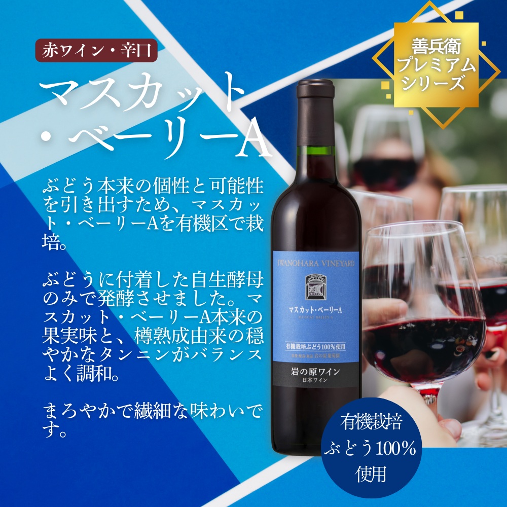 ワイン 岩の原ワイン マスカット・ベーリーA 飲み比べ2本セット（赤×2本 各720ml） 酒 ギフト 新潟 上越