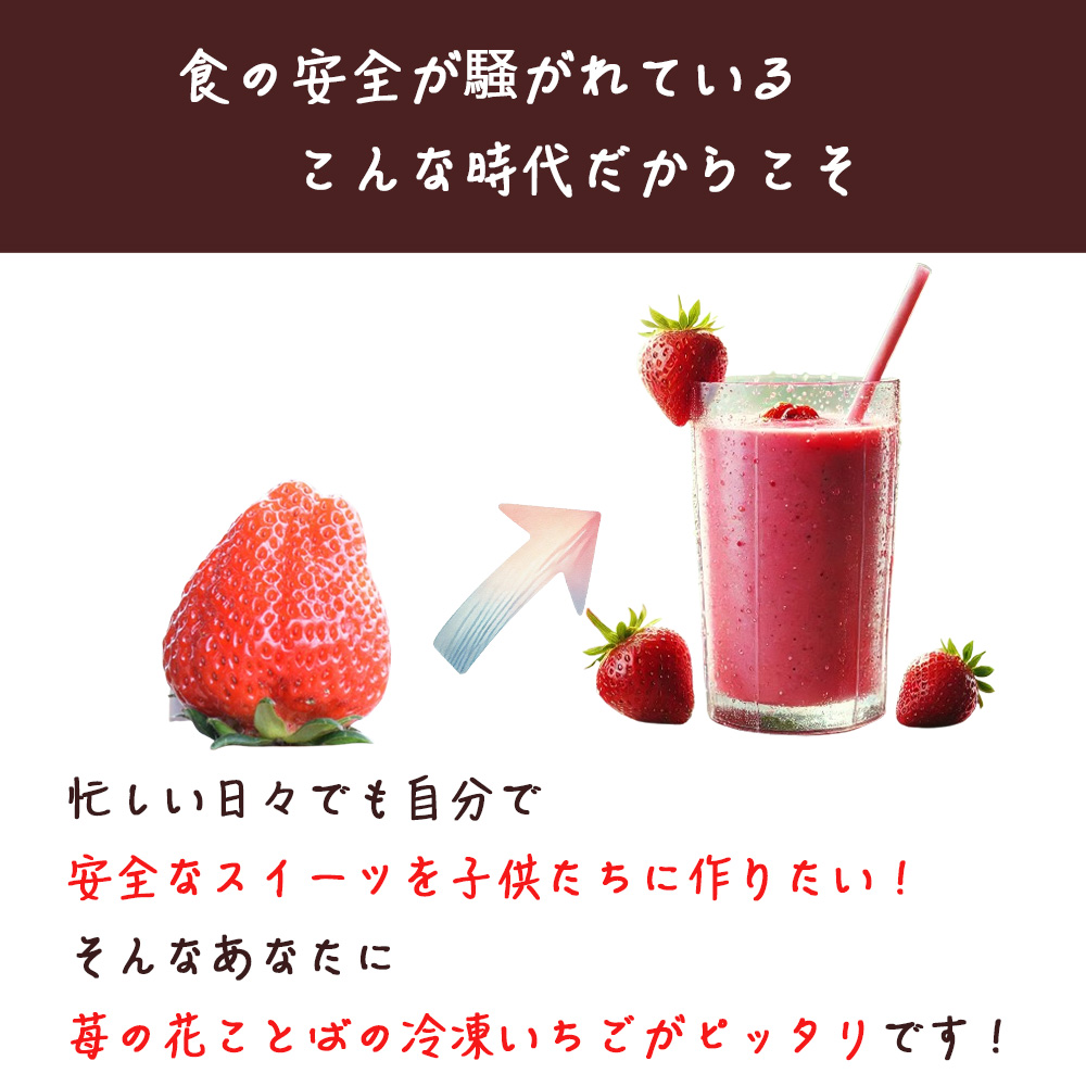 いちご 冷凍いちご 越後姫 1kg 冷凍 イチゴ 苺 果物 フルーツ 新潟