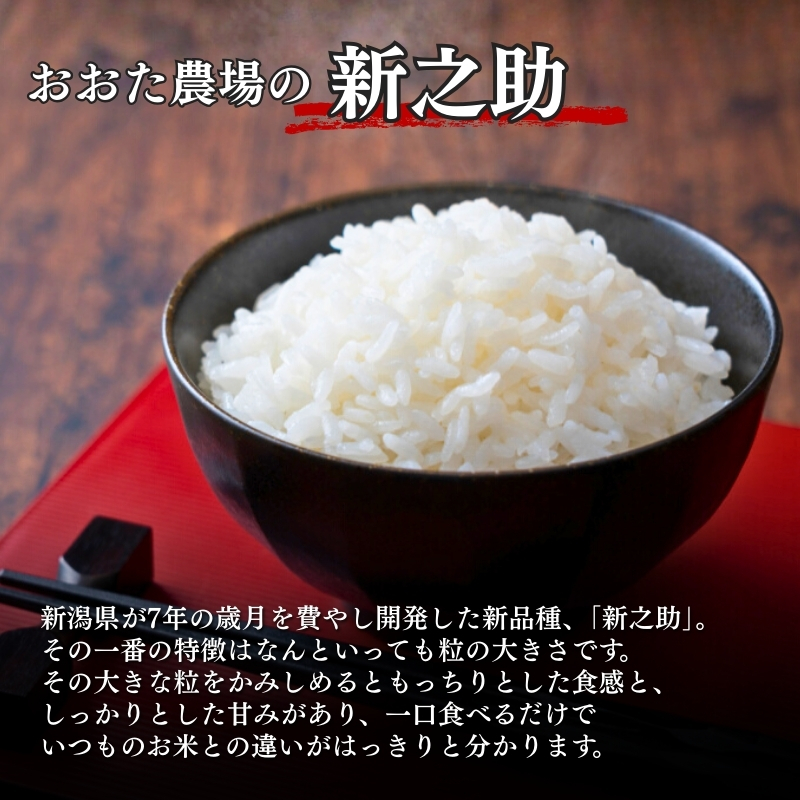米 【令和7年産】 新潟県上越産 特別栽培米 新之助 【無洗米】 5kg 5キロ お米 こめ 白米 食品 人気 おすすめ にいがた 上越 上越産