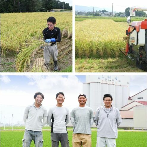 令和6年 新米 新潟県産コシヒカリ えちご上越米　定期便 【6ヶ月連続お届け】5kg×6回 30kg 新潟 米 新潟県 こしひかり 限定 おすすめ　定期便　お届け：寄附の入金の翌月より計6回、毎月中旬ごろに発送いたします。