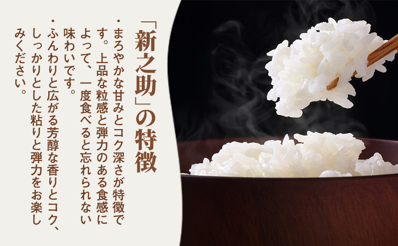 新米予約 令和7年 新潟県産 新之助 5kg 5キロ 上越市柿崎産 白米 精米 送料無料 KISHIDA RICE FARM お米のお山のふもとから 岸田米 新之助 （ぼくらのMaiMaiMaiバージョン）