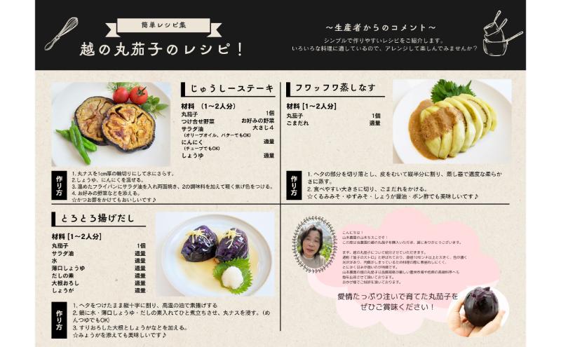 新潟県上越市産　茄子の大トロ　越の丸茄子2kg詰め（9個～11個入）ナス　丸茄子　野菜　新潟　上越