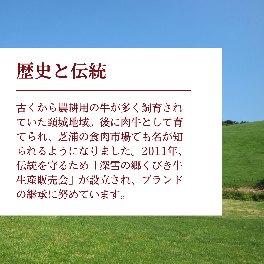 くびき牛　切り落とし500g　上越　牛肉
