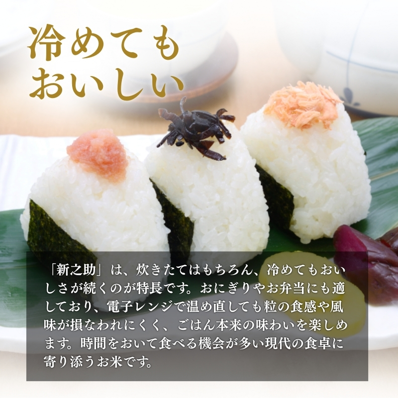 上越市産 新潟 新之助 5kg 12か月定期便 しんのすけ お米 精米 米 ご飯 定期