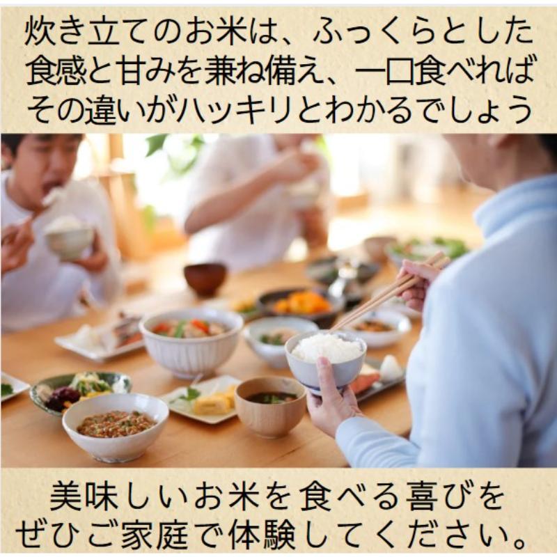 日本酒とコシヒカリ5kgセット/コシヒカリ/米5kg/清里米遊/720ml/原料コシヒカリ100％/新潟県上越市産