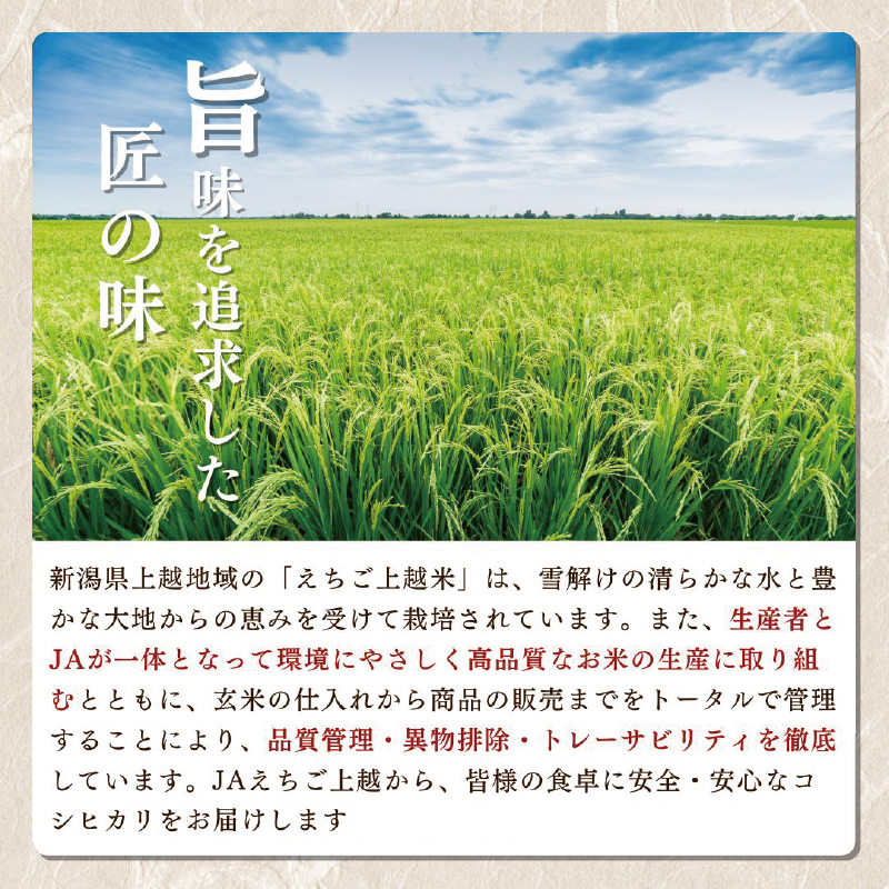 【先行予約】令和7年 新米 新潟県産コシヒカリ えちご上越米　定期便 【3ヶ月連続お届け】10kg×3回 30kg 新潟 米 新潟県 こしひかり 限定 おすすめ