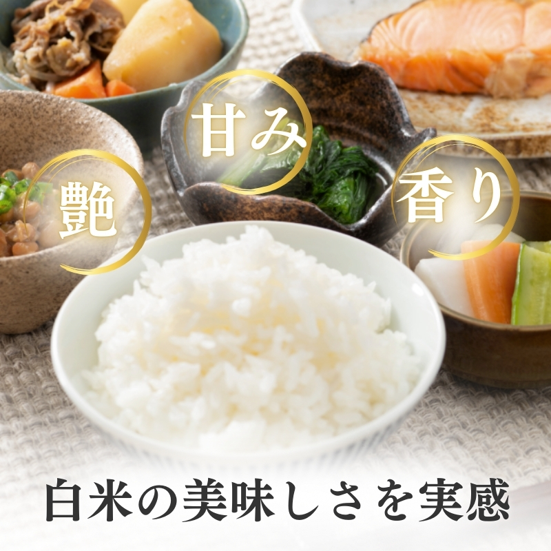令和7年産 新潟県上越産こしひかり 精米 10kg 上越市 米 コメ コシヒカリ