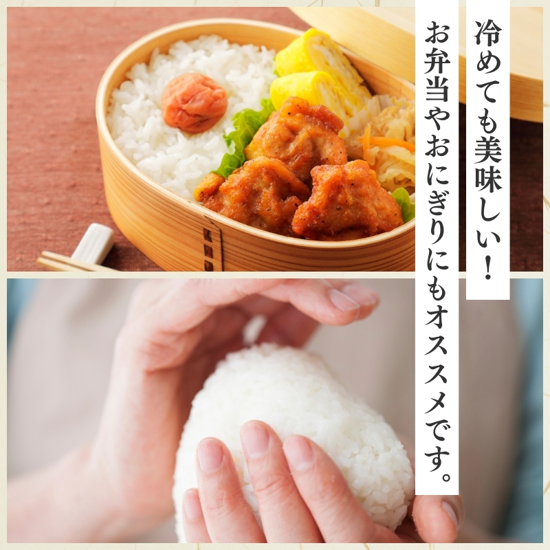 令和7年産 新潟県上越柿崎区厳選 こしひかり 精米 20kg 3か月定期便 上越市 精米 米 コメ コシヒカリ ブランド米