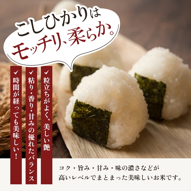 【4月上旬より配送】上越市産 新潟 コシヒカリ 5kg 6か月定期便 こしひかり お米 精米 米 ご飯 定期