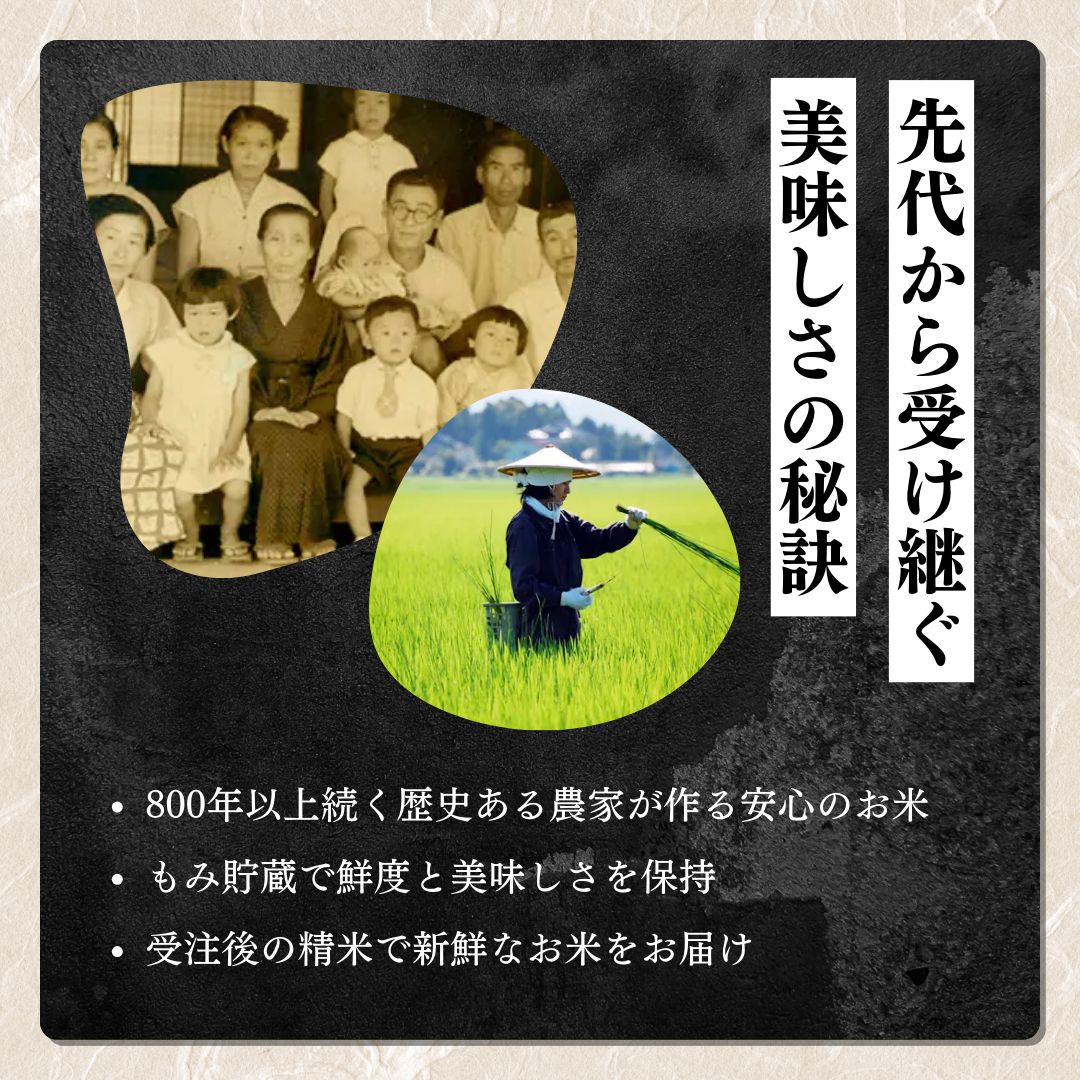 米 令和6年産 新潟県 上越産「こしいぶき」 白米 5kg お米 こめ ふるさと納税 新潟 新潟県産 にいがた 上越