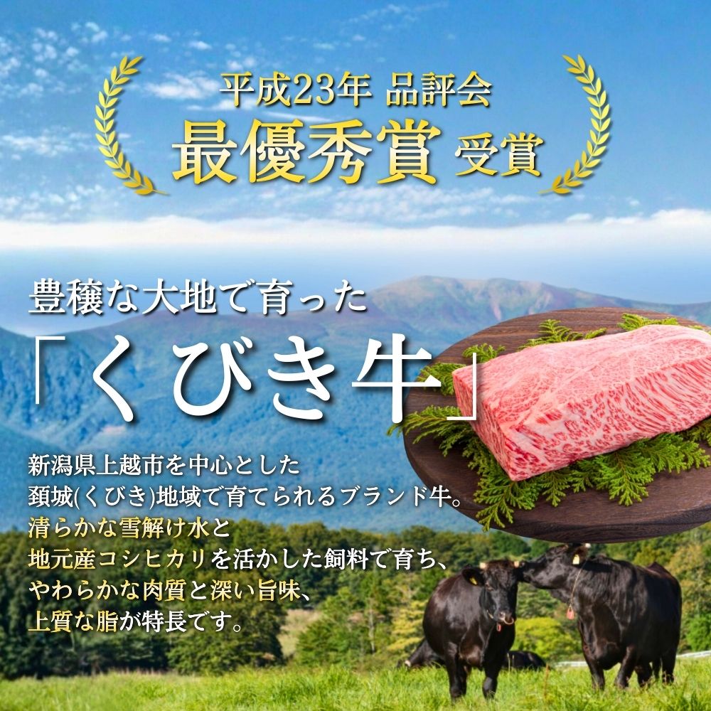 くびき牛 100％ ハンバーグ 10個+岩の原赤ワインソース+ブルギニョンバター 冷凍 ソース付き 新潟 上越市