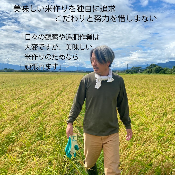 令和6年産 上越市産 コシヒカリ 5kg 新米 精米 新潟 米 新潟県 こしひかり 限定 おすすめ