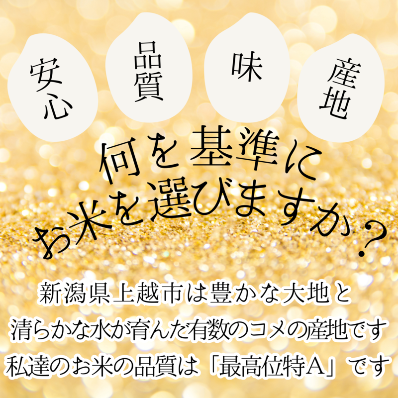 先行予約/令和7年産/上越市産/コシヒカリ/5kg/新米/精米/新潟/米/新潟県/こしひかり/限定/おすすめ