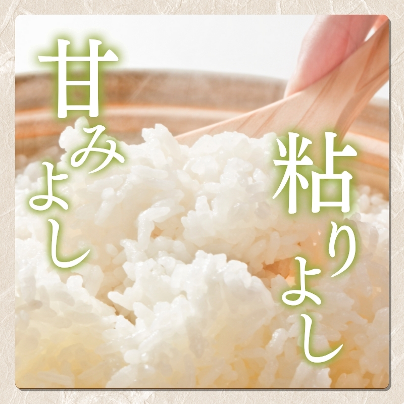 【先行予約】令和7年 新米 新潟県産コシヒカリ えちご上越米 5kg 新潟 米 新潟県 こしひかり 限定 おすすめ