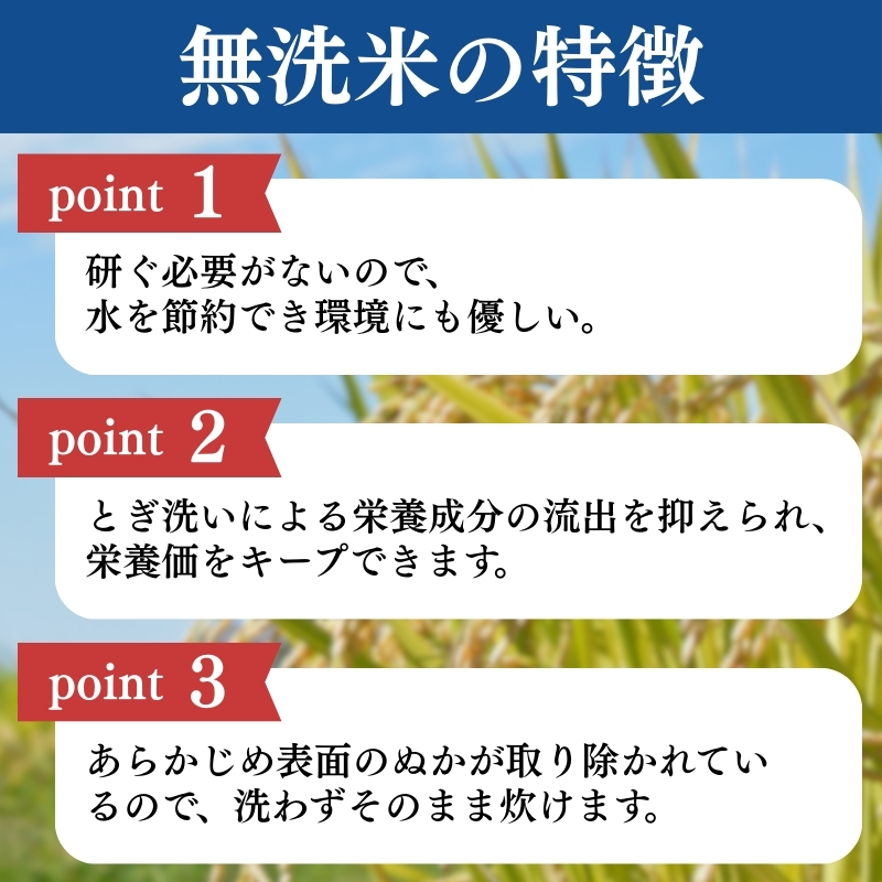 令和7年産 食味鑑定士厳選 新潟県産こしひかり 無洗米 20kg 6か月定期便 上越市 米 コメ コシヒカリ