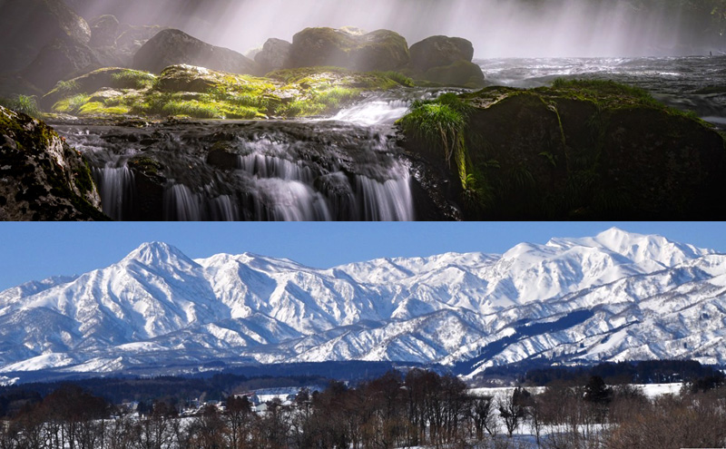 新米 令和7年 新潟県上越産 こしひかり『和泉』27kg 27キロ上越市 精米 米 ギフト 喜ばれる