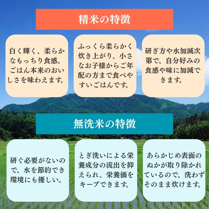 令和7年産 食味鑑定士厳選 新潟県上越柿崎区厳選 こしひかり 無洗米 5kg 6か月定期便 上越市 精米 米 コメ コシヒカリ ブランド米