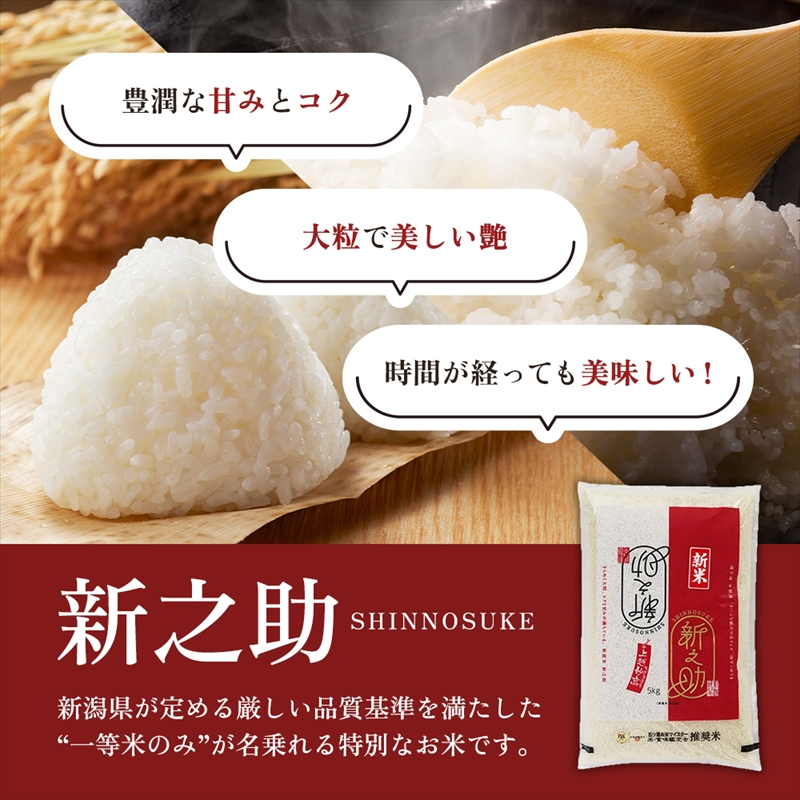 【3月上旬より配送】上越市産 新潟 新之助 5kg 6か月定期便 しんのすけ お米 精米 米 ご飯 定期