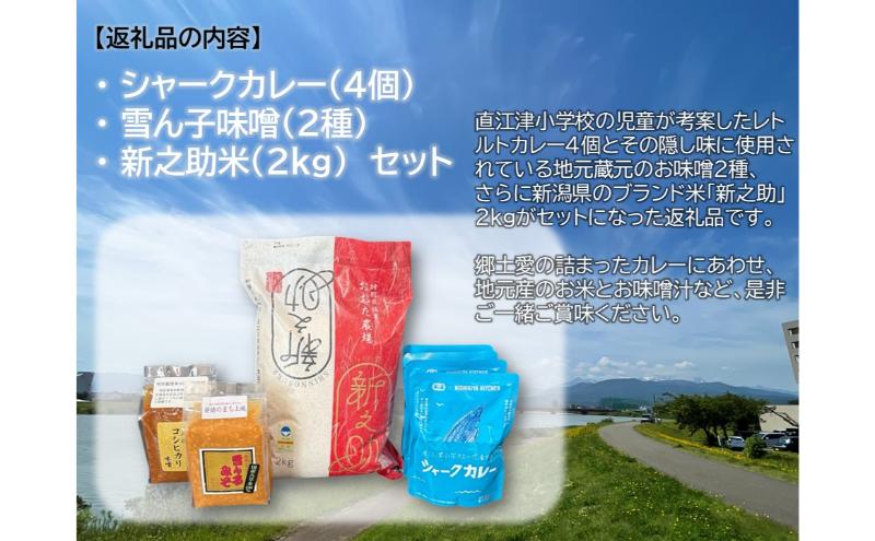 直江津小学校の児童が考えたシャークカレー（180g×4個） 新潟県上越市産米の新之助（2kg） お味噌（2種） セット レトルト カレー 米 味噌 上越市