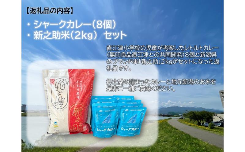 直江津小学校の児童が考えたシャークカレー（180g×8個） 新潟県上越市産米の新之助（2kg） セット レトルト カレー 米 上越市